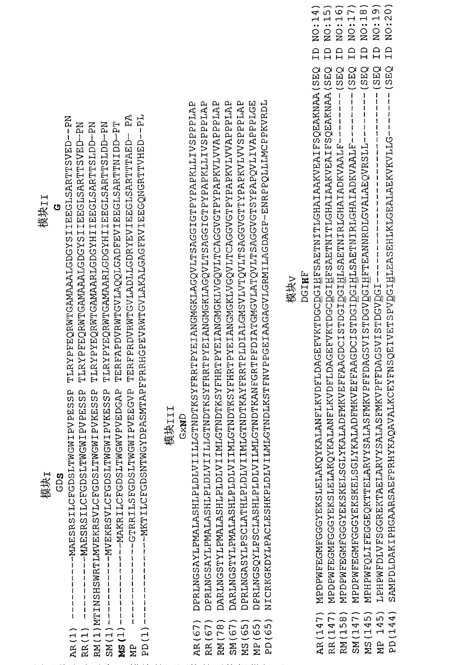 CN103333870A - 过水解酶- Google Patents
