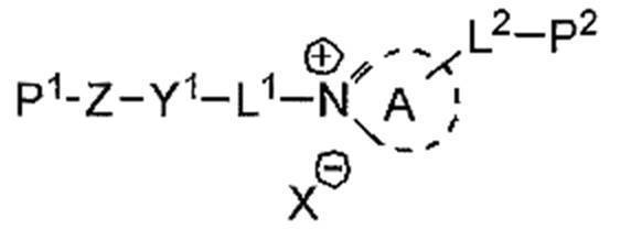 Figure 0007013577000010