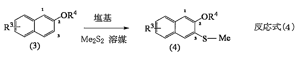 Figure JPOXMLDOC01-appb-C000022