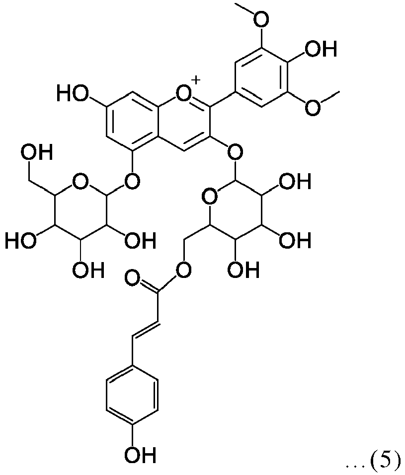 Figure imgb0005