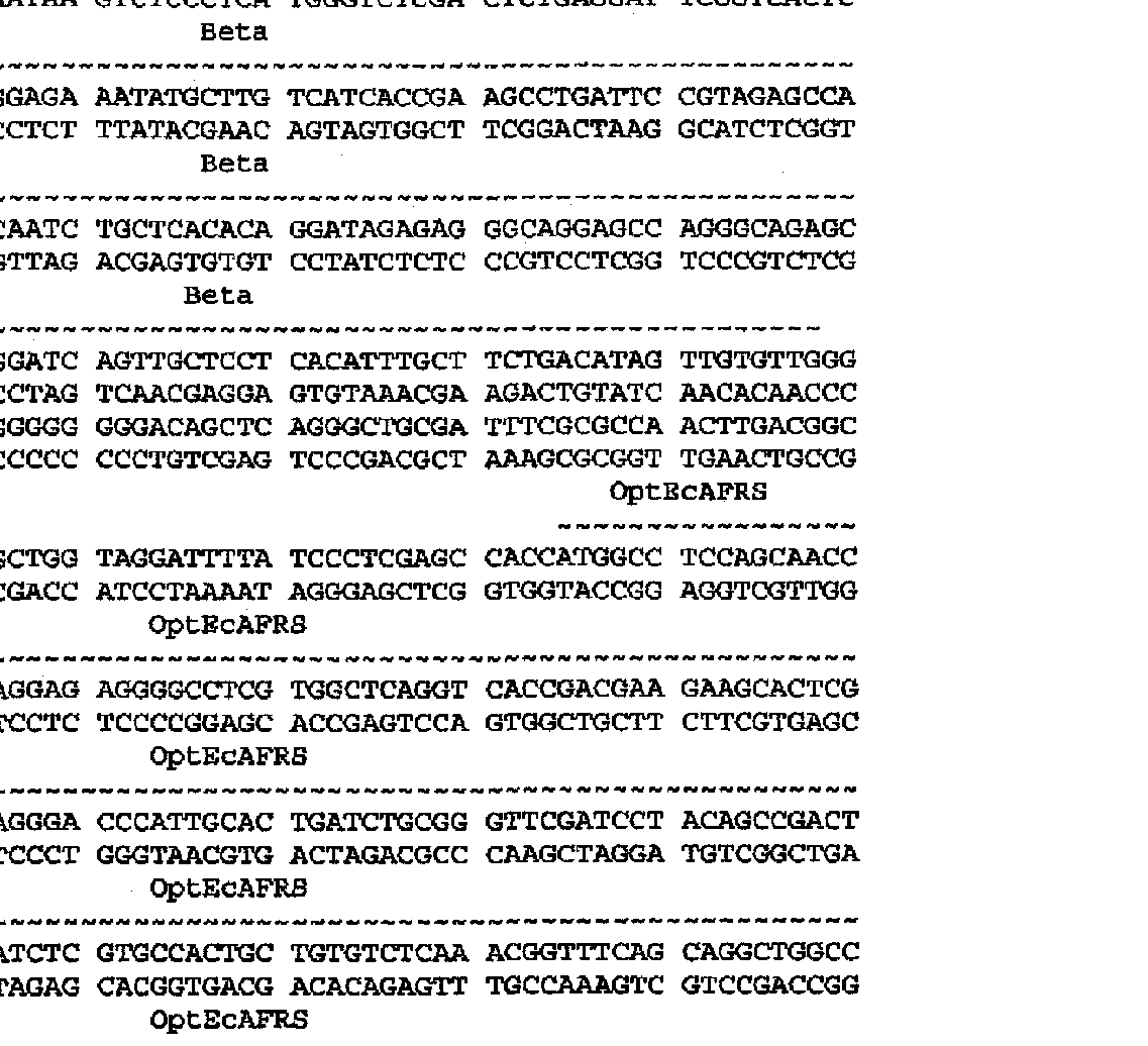 Cna 修饰的动物促红细胞生成素多肽和其用途 Google Patents