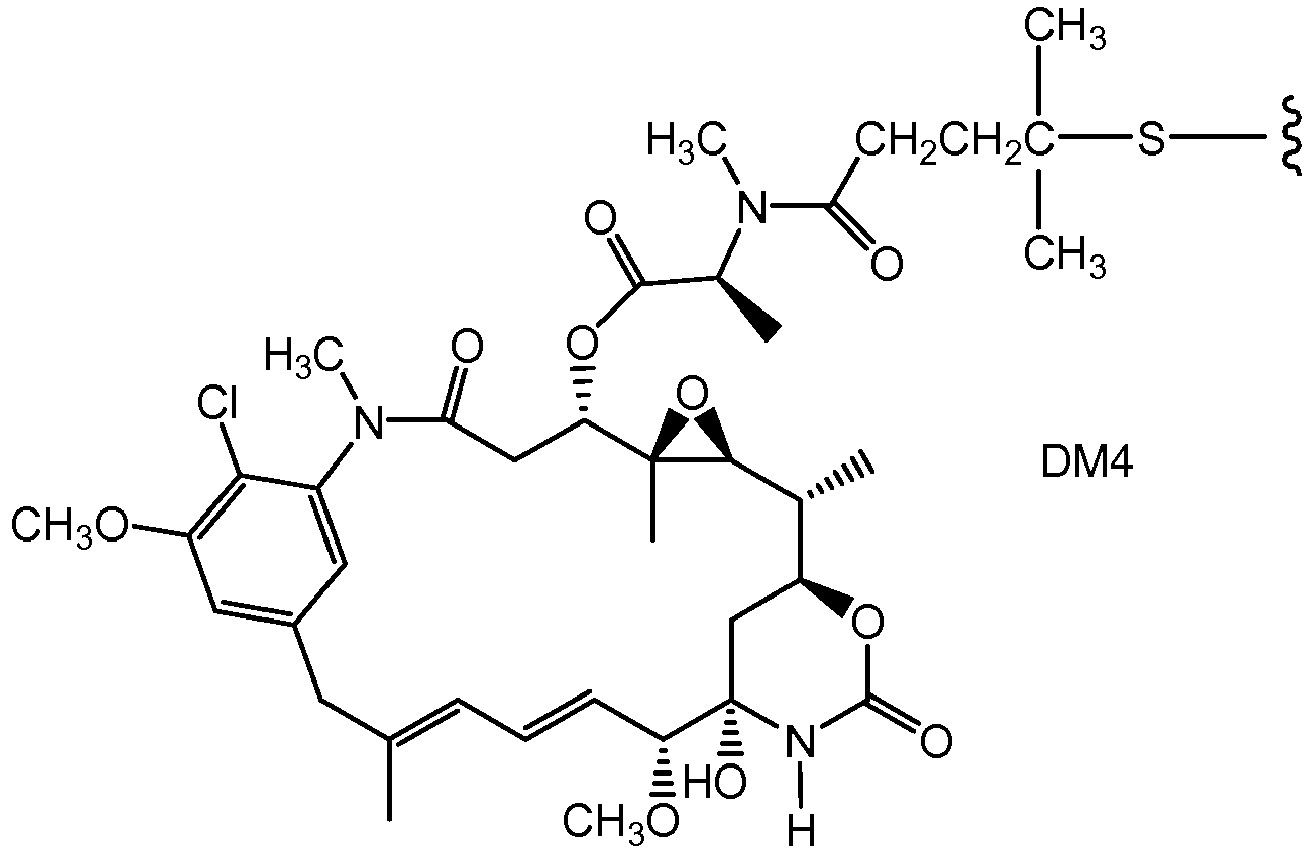 Figure imgb0028