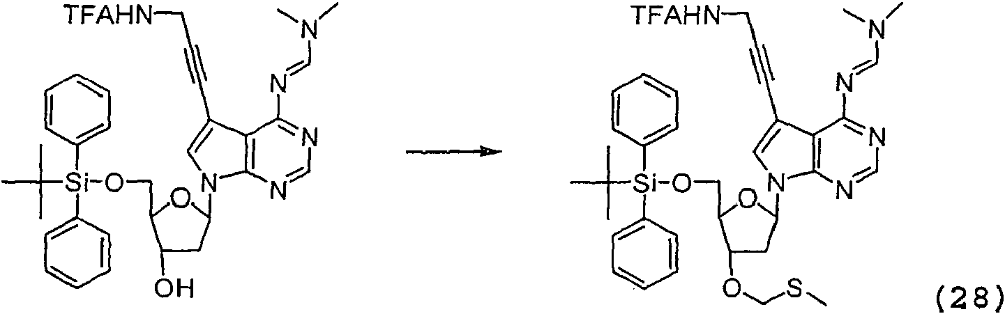 Figure imgf000029_0002