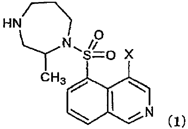 Figure imgb0005