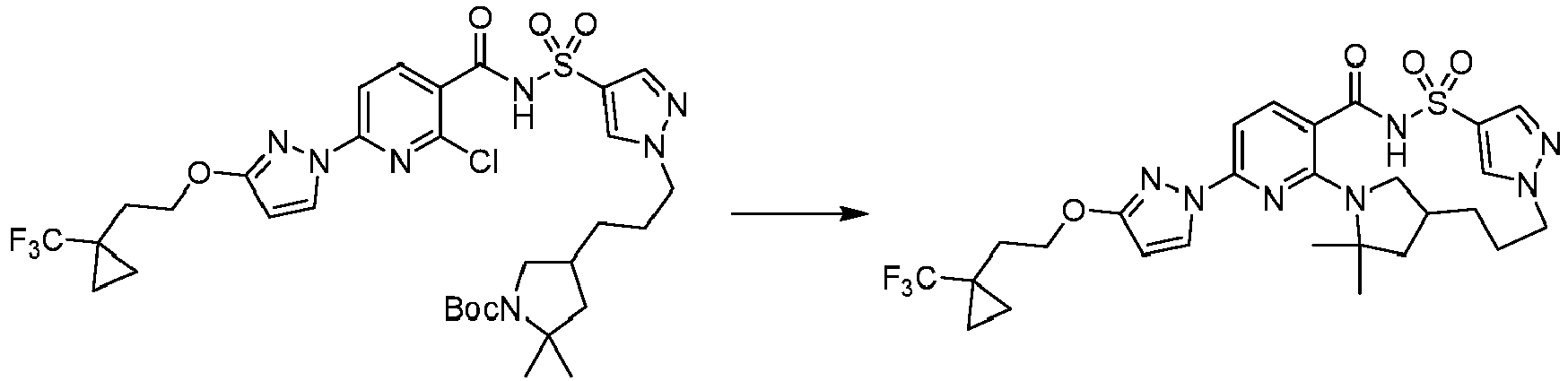 Figure imgb1306