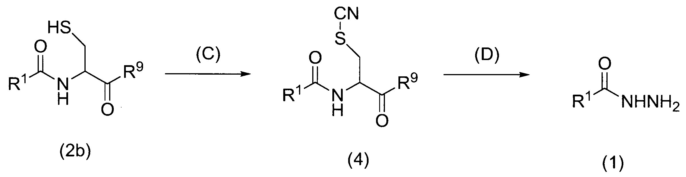 Figure JPOXMLDOC01-appb-C000079