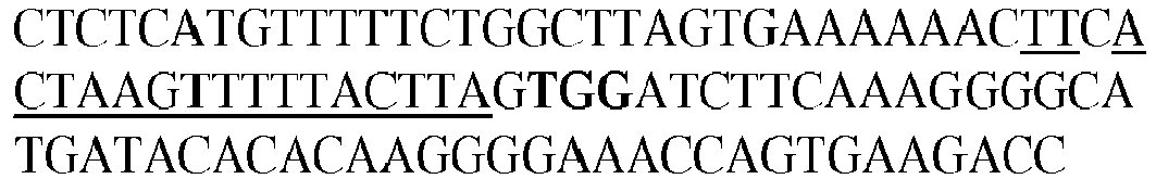 Figure imgb0022