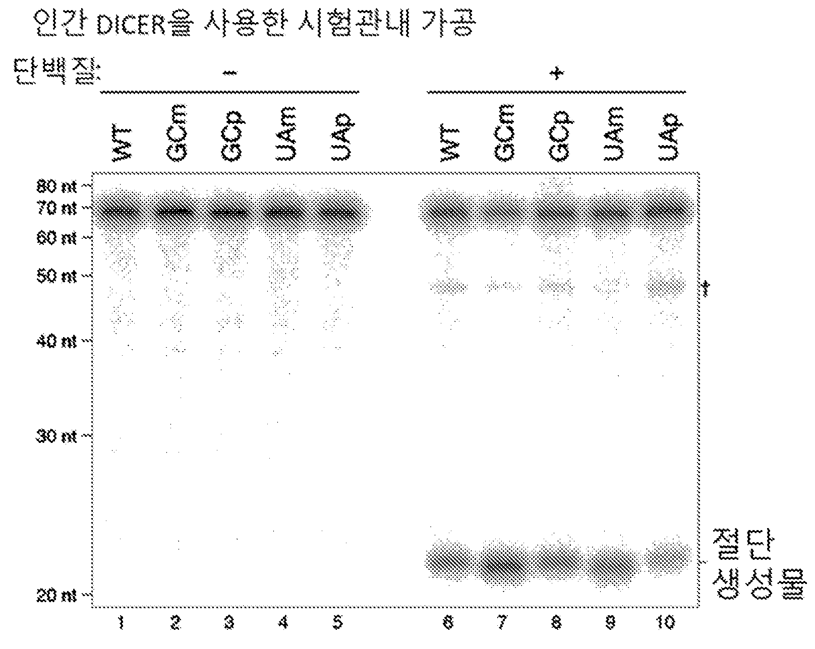 특허 도면 74