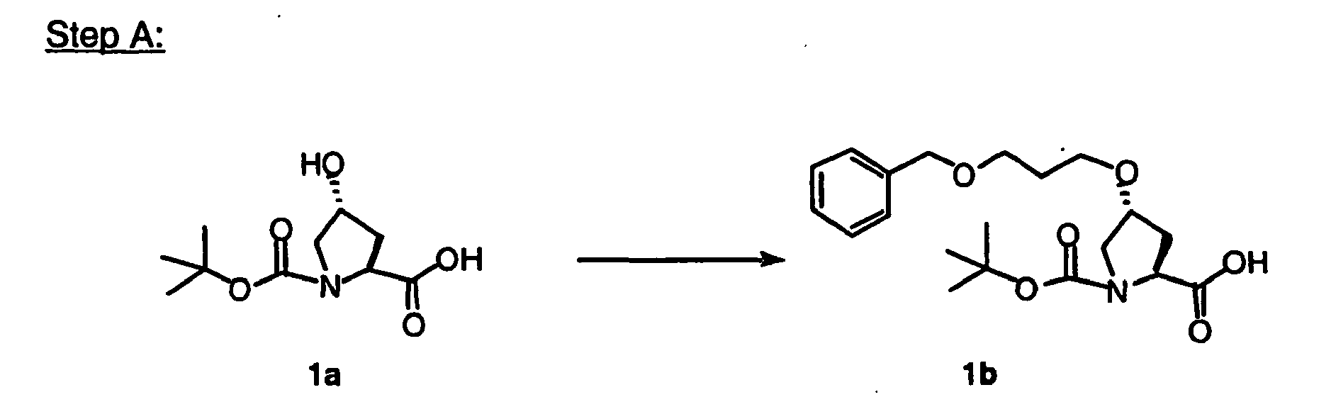 Figure imgb0202