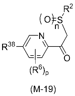 Figure JPOXMLDOC01-appb-C000060