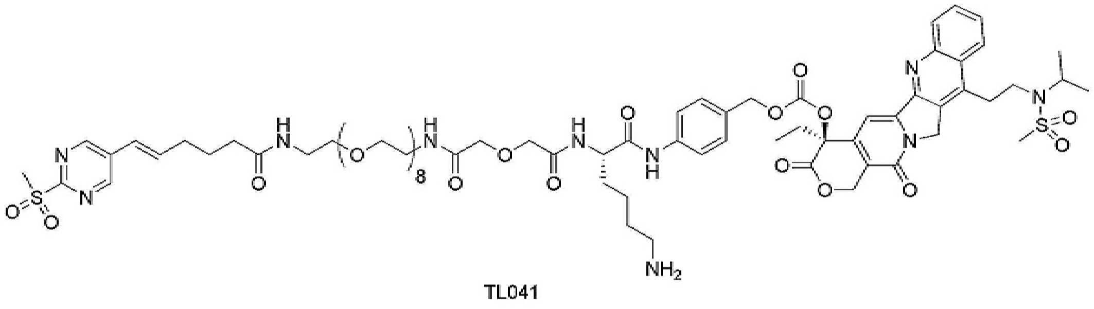 Figure pct00341