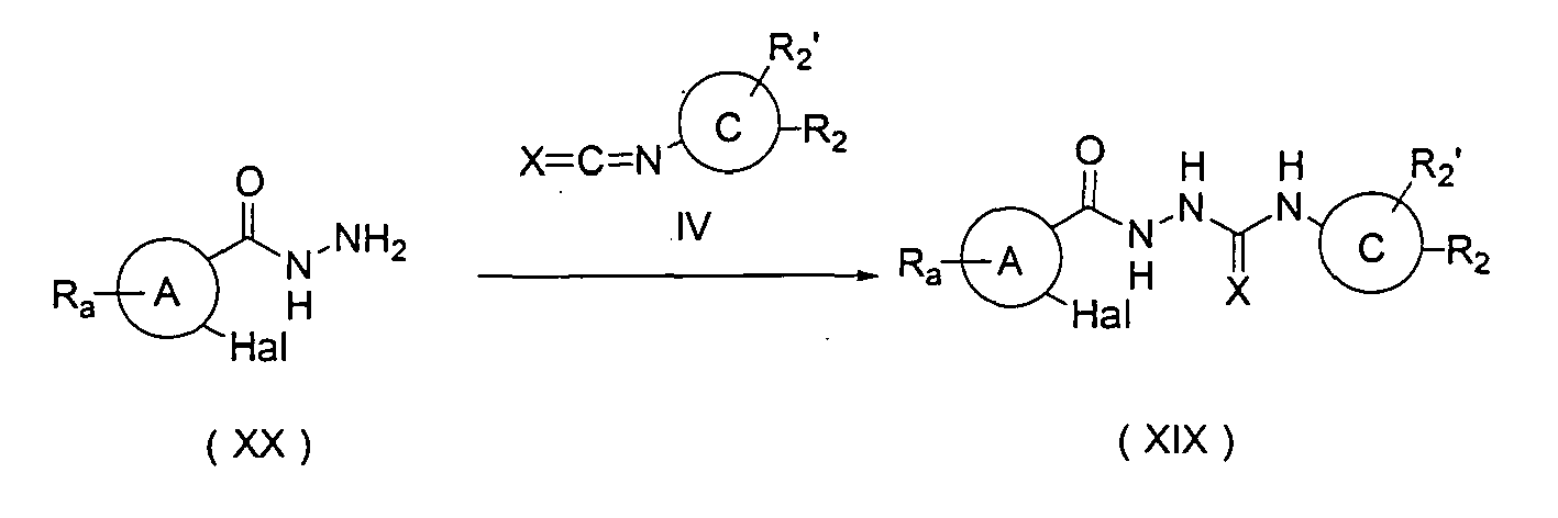 Figure imgb0024
