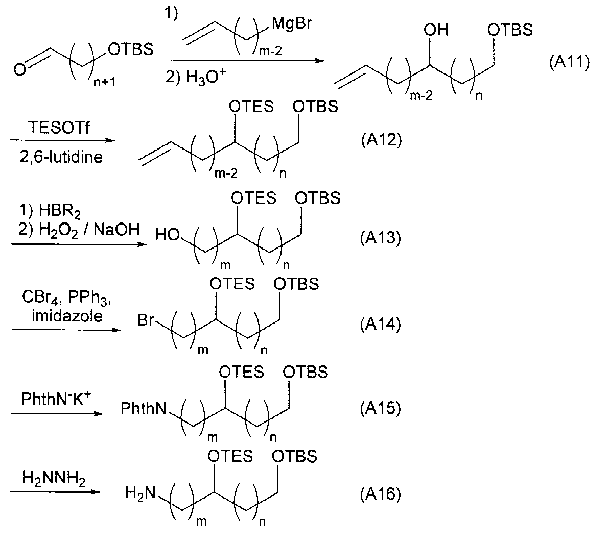 Figure JPOXMLDOC01-appb-C000019