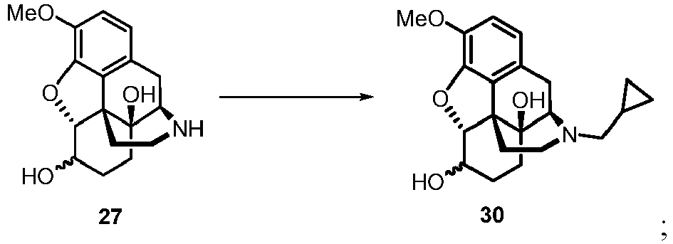 Figure imgb0029