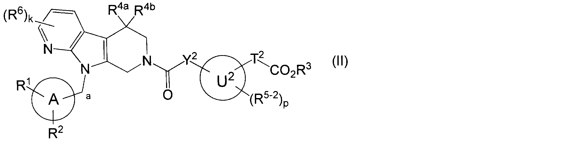 Figure JPOXMLDOC01-appb-C000016