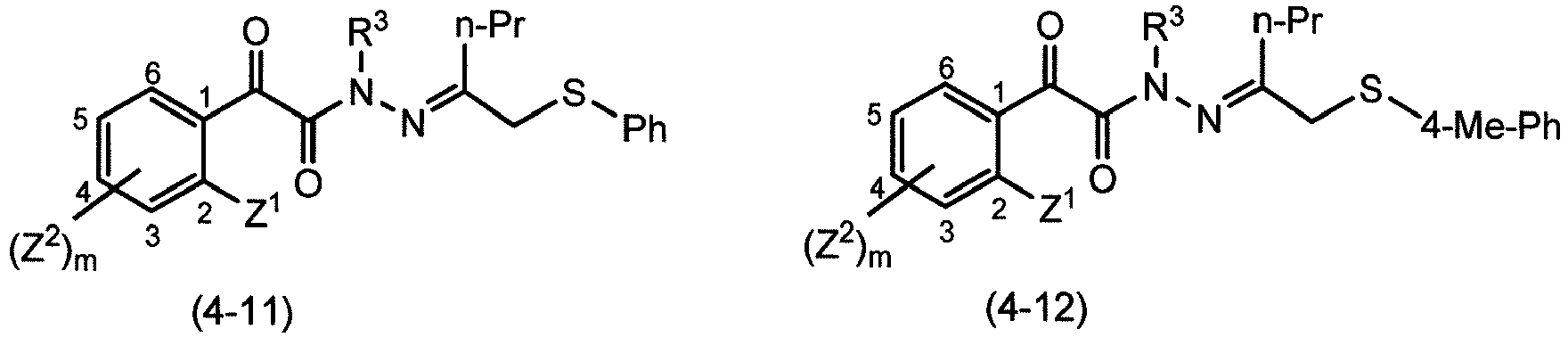 Figure imgb0107