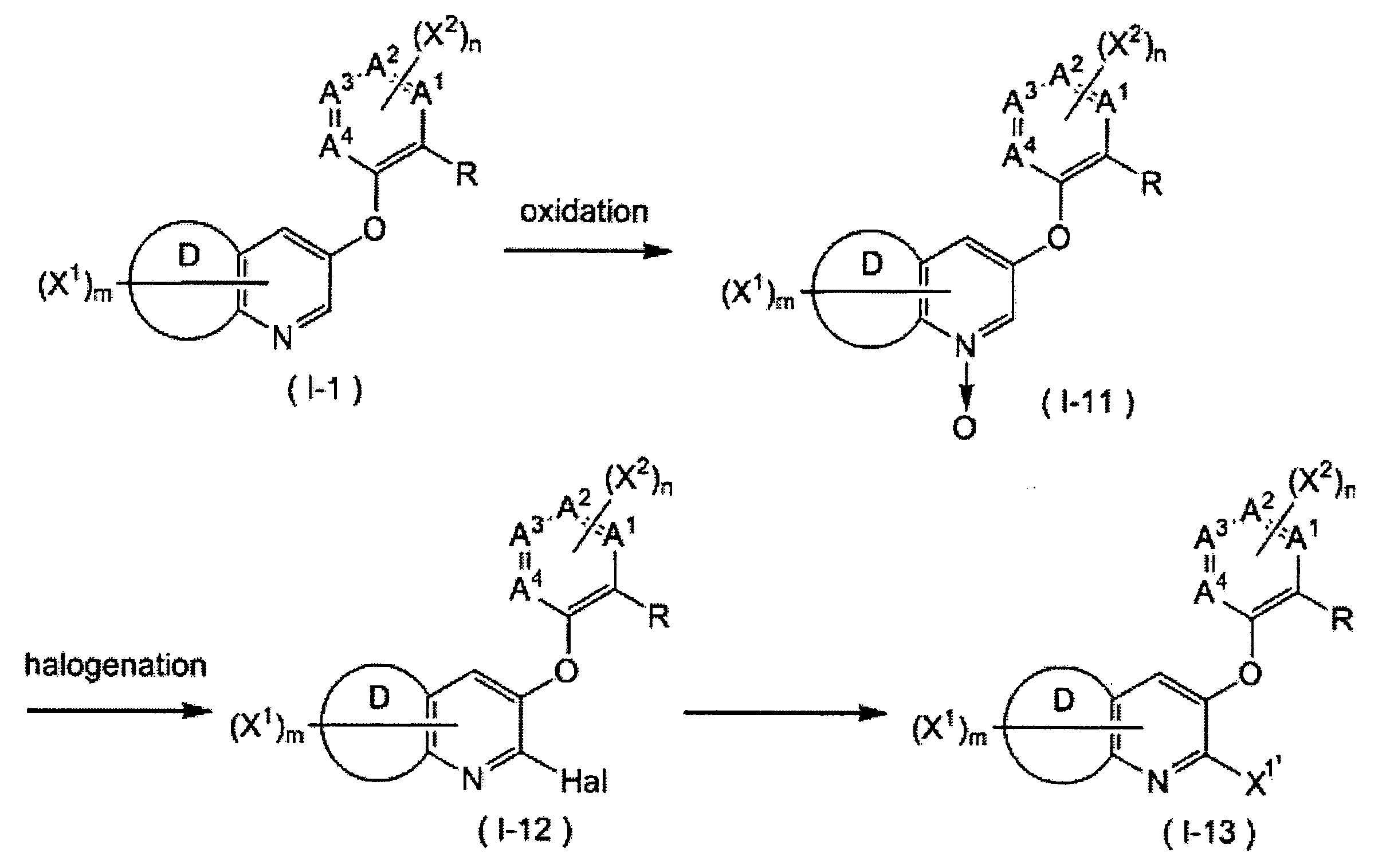 Figure JPOXMLDOC01-appb-C000024