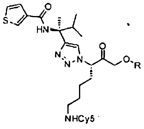Figure imgf000029_0001