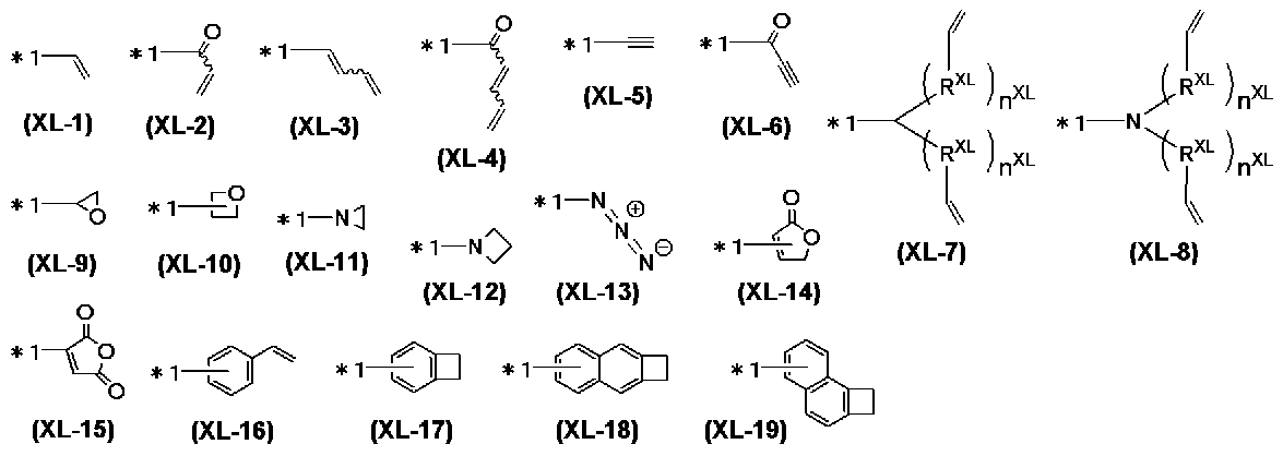 Figure JPOXMLDOC01-appb-C000014