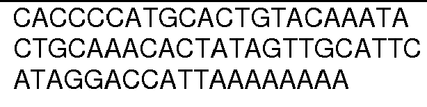 Figure imgb0393