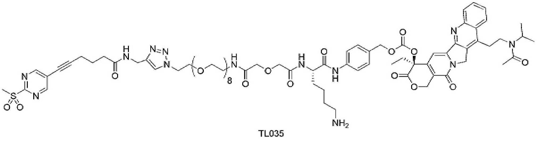 Figure pct00386
