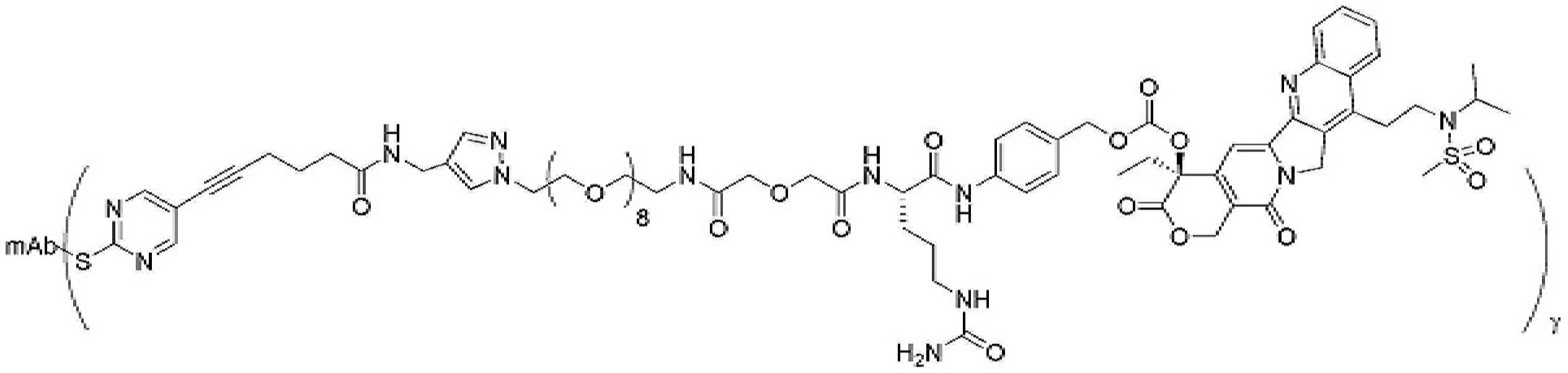Figure pct00460