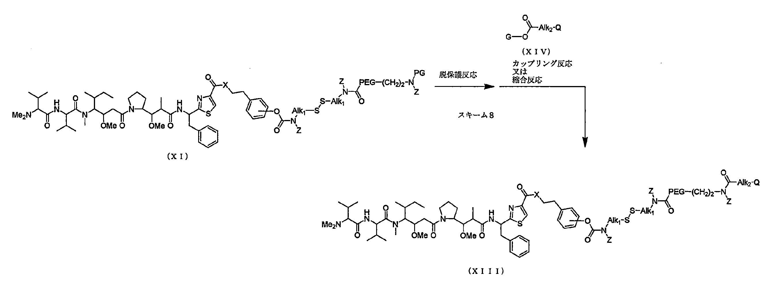 Figure JPOXMLDOC01-appb-C000015