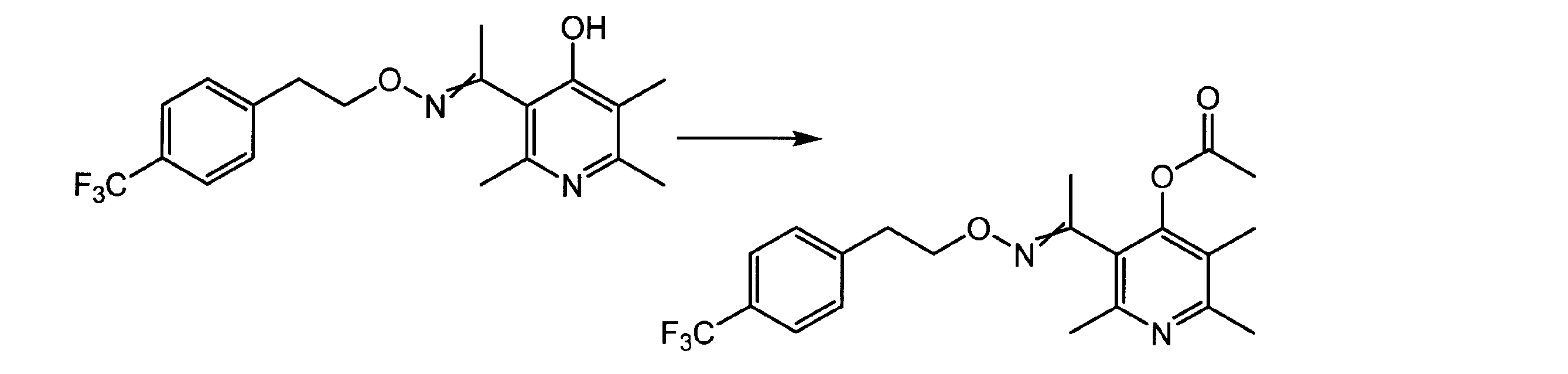 Figure JPOXMLDOC01-appb-C000024
