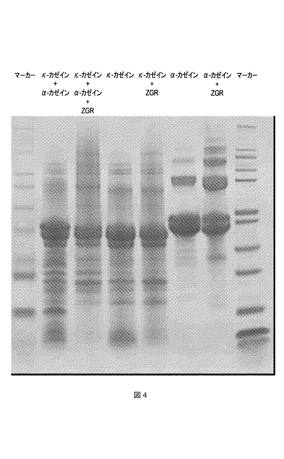 JP2010521188A - 新規リシルオキシダーゼ - Google Patents