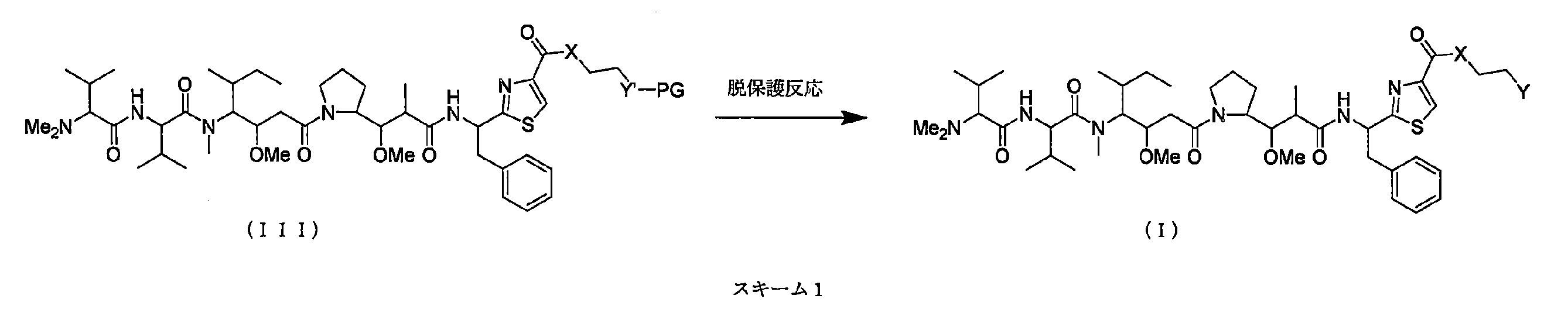 Figure JPOXMLDOC01-appb-C000008