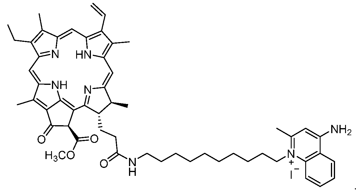 Figure imgf000081_0001