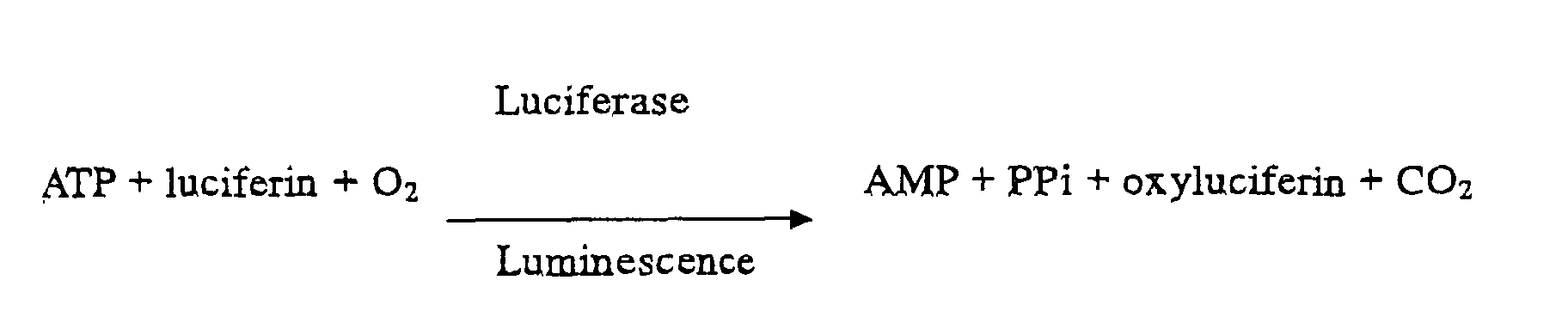 Figure 00250002