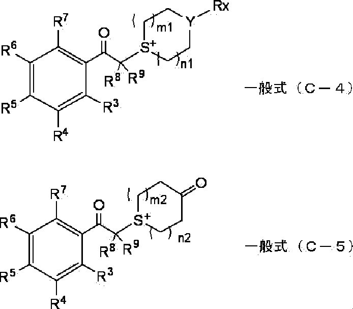 Figure JPOXMLDOC01-appb-C000013