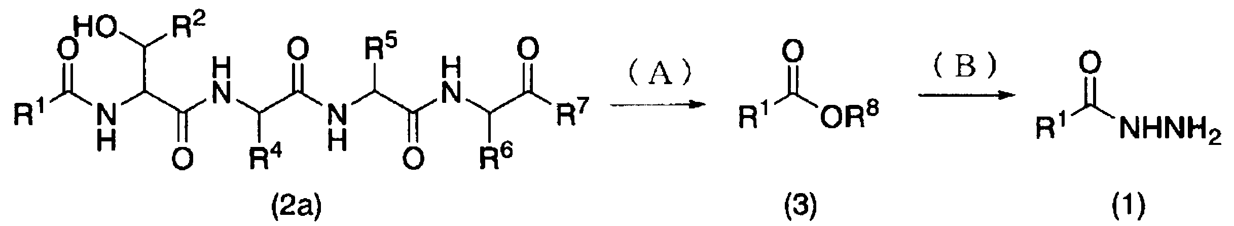 Figure JPOXMLDOC01-appb-C000078