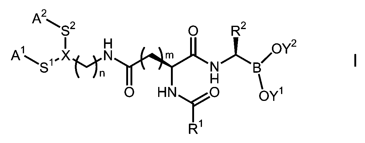 Figure JPOXMLDOC01-appb-C000006