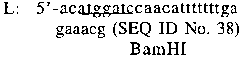 Figure imgb0020