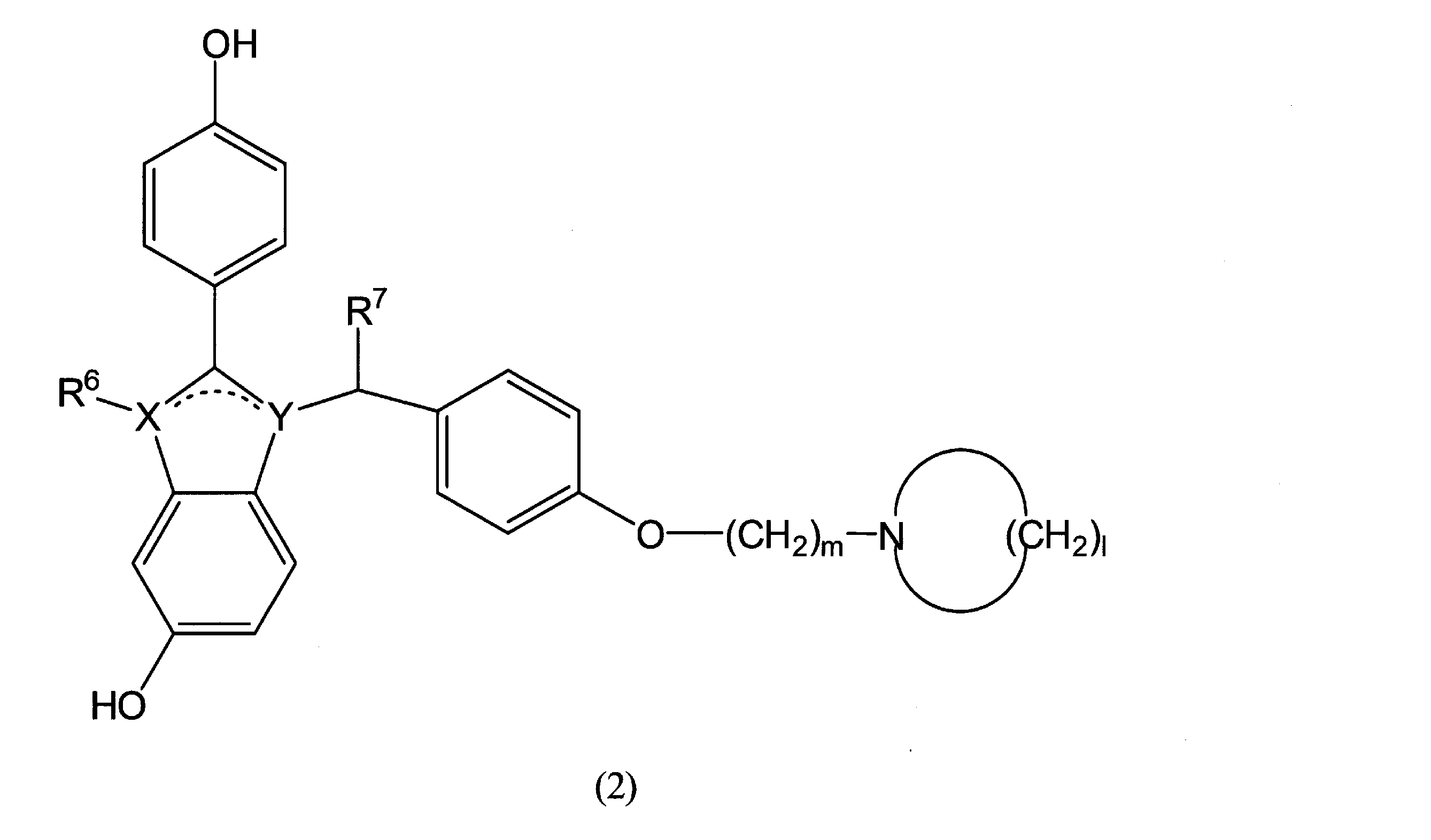 Figure JPOXMLDOC01-appb-C000028