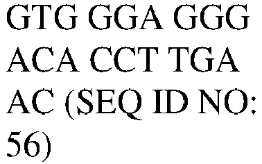 Figure imgb0057