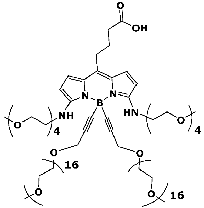 Figure imgb0163