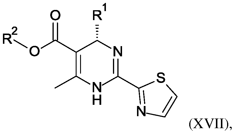 Figure imgf000013_0002