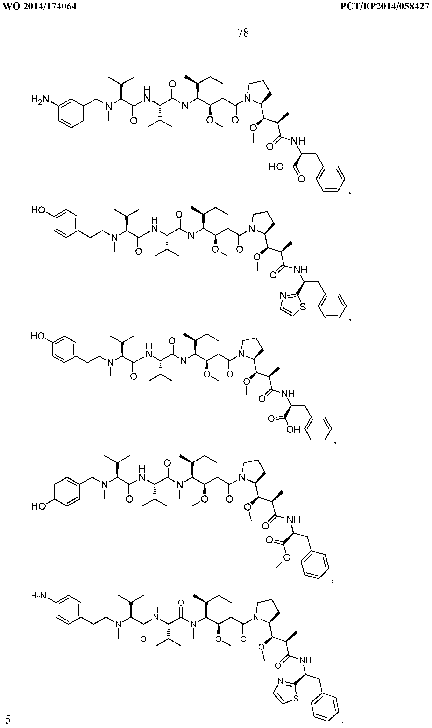 Figure imgf000079_0001