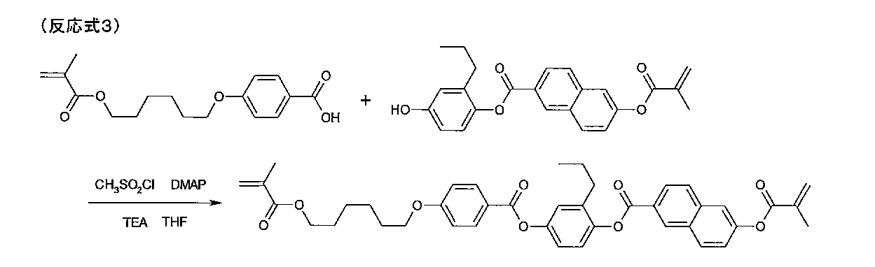 Figure JPOXMLDOC01-appb-C000031