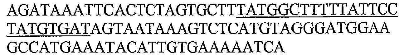 Figure imgb0143