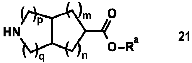 Figure imgb0033