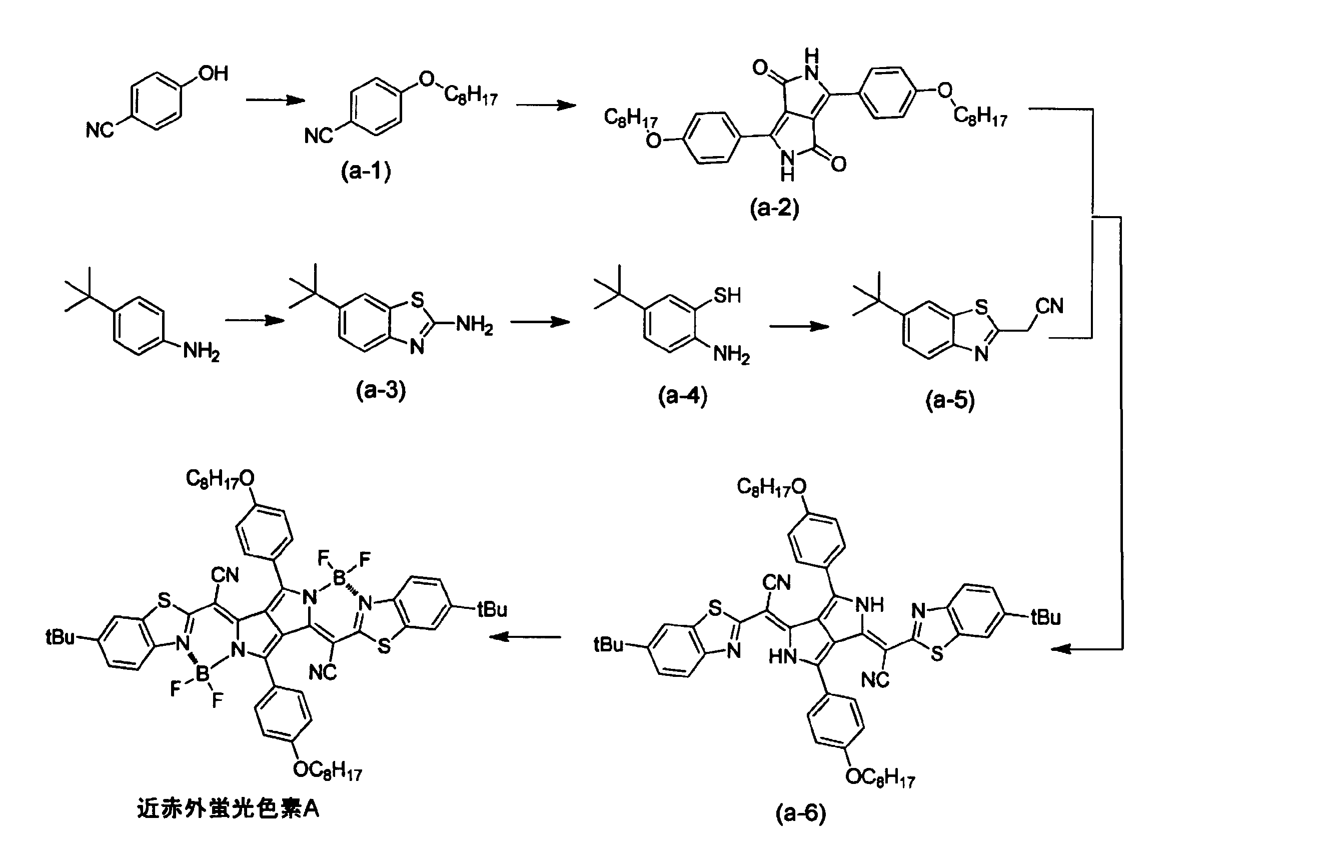 Figure JPOXMLDOC01-appb-C000024