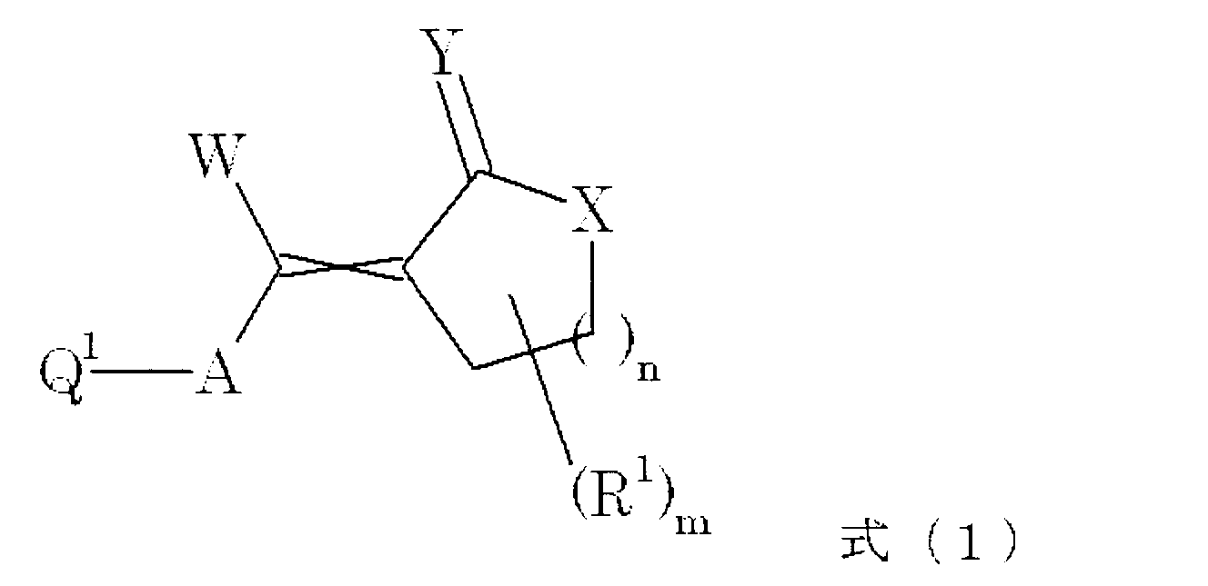 Figure JPOXMLDOC01-appb-C000004