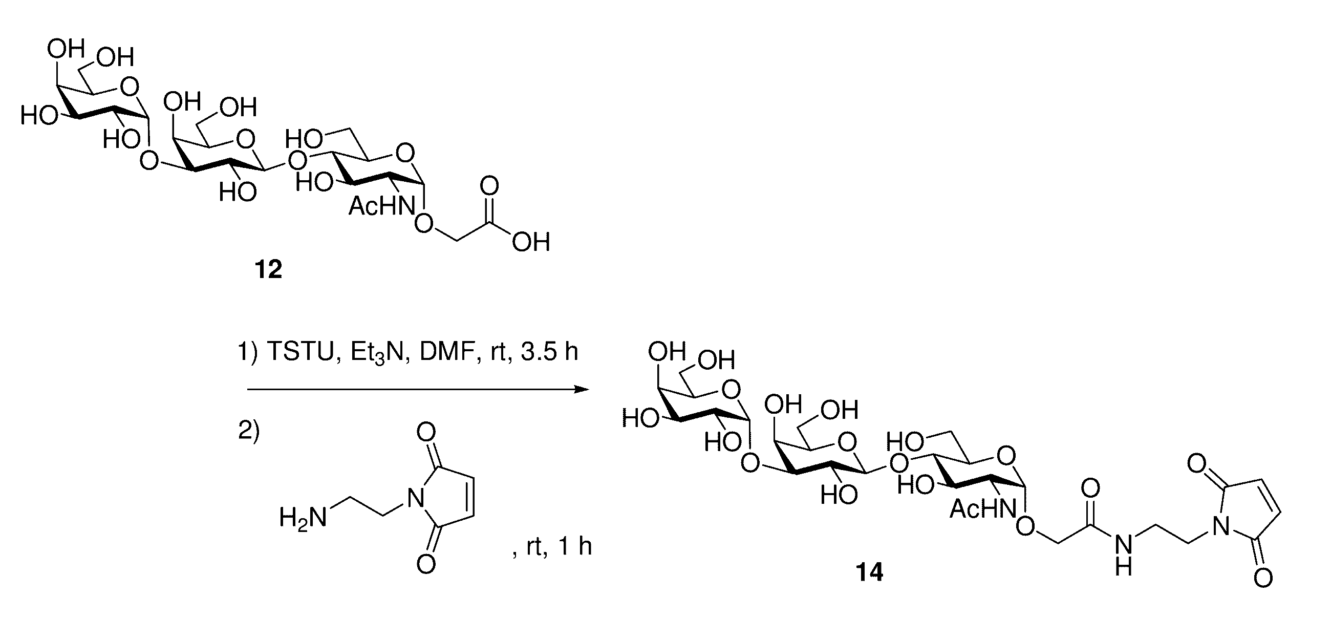 Figure JPOXMLDOC01-appb-C000024