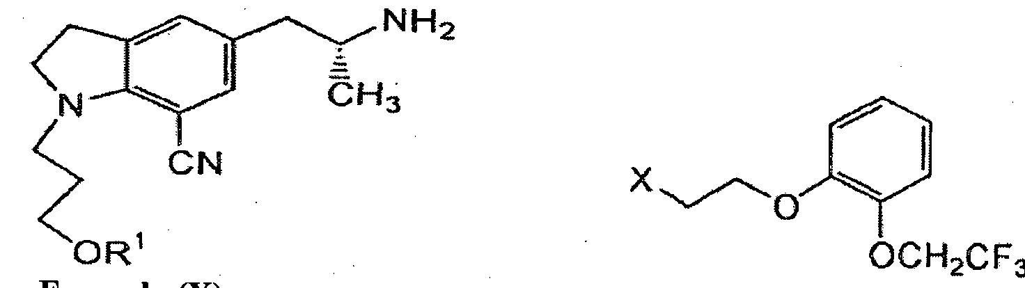 Figure imgf000003_0001