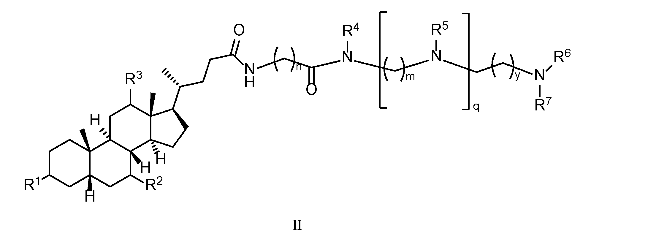 Figure imgf000004_0002