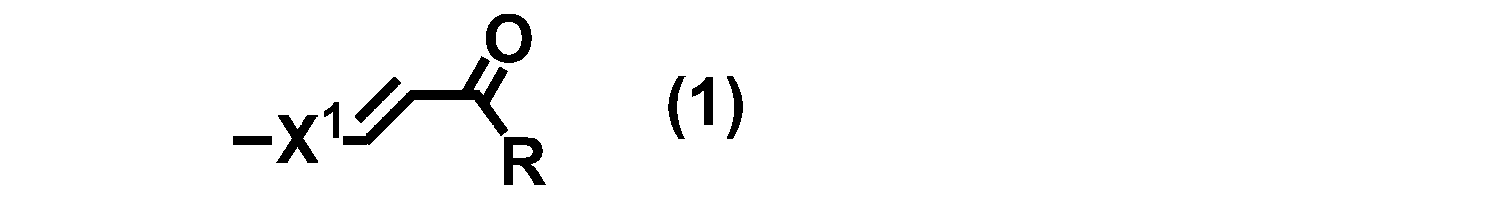 Figure JPOXMLDOC01-appb-C000033